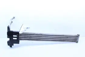 17217576825-nof2411 Bmw 2009-2014 750i Power Steering Oil Cooler