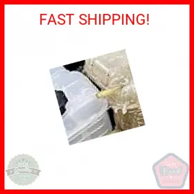603-383 Dorman Pressurized Coolant Reservoir With Cap Compatible Select Bui