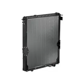 A05-34049-000 Freightliner Radiator 42.13 Inch Height For