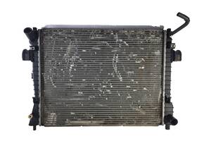 Lincoln 3w1z-8005-ah 2003 2004 2005 Town Car Radiator Core Assembly Oem 3w1z8005ah
