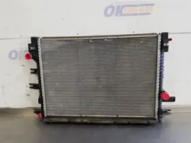 675-02976 Lincoln 17-20 Continental 3.0l Radiator Assembly