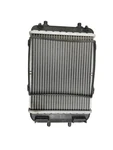 2014-2018 Audi RS7 4L Awd Front Left Auxiliary Cooling Radiator 8K0121212C Lh Used. Price: $255.07.