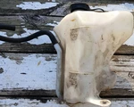 08 2009 2010 2011 Ford Focus Radiator Coolant Reservoir Bottle Tank Oem Used. Price: $30.00.