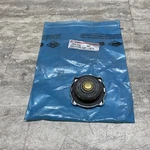 Oem Taylor Dunn 2404 212 Radiator Cap, New. Price: $35.00.