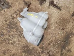 A8 Audi 2019 Coolant Reservoir 1677478 Used. Price: $83.91.