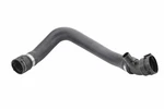 Genuine Oem Lower Radiator Coolant Hose For Bmw 230I, Xdrive 17128662836 New. Price: $108.62.