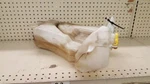 2005 Dodge Ram Oem Mopar Coolant Bottle Washer 5.7L Hemi 165797 Used. Price: $79.00.