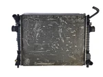 2003 2004 2005 Lincoln Town Car Radiator Core Assembly Oem 3W1Z8005AH Used. Price: $154.53.