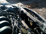 Radiator 6-181 Fits 03-08 Mazda 2912205 Used. Price: $45.00.