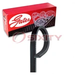 Gates Stretch Fit Micro-v Water Pump Serpentine Belt 2006-2008 Ford Kj New. Price: $25.97.